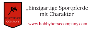 banner hobbyhorsecompany